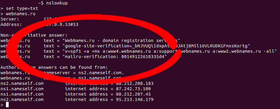 Результат выполнения nslookup