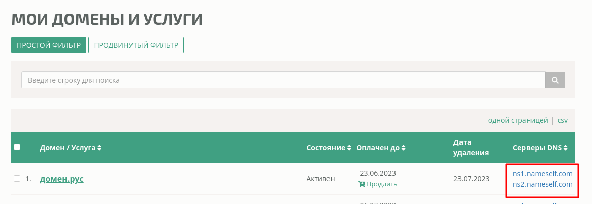 Поддержка DNS серверов бесплатно