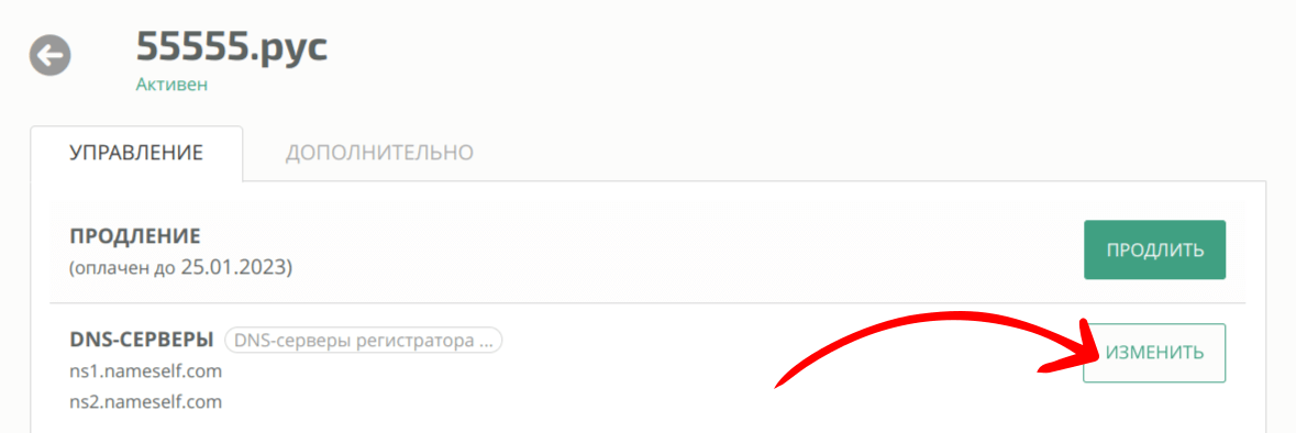 Перейти на страницу управления DNS-записями со страницы управления доменом
