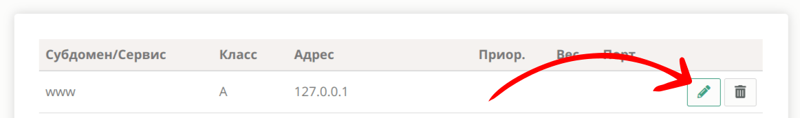 Кнопка редактирования DNS-записи