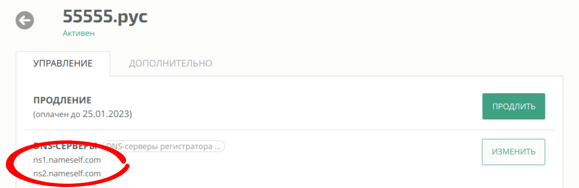 DNS-серверы домена на странице управления доменом webnames.ru
